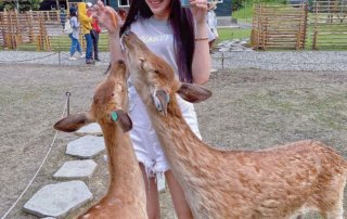 農場,農場推薦,斑比山丘,埔心牧場,頑皮世界野生動物園,新光兆豐休閒農場,新竹市立動物園,鹿境梅花鹿生態園區