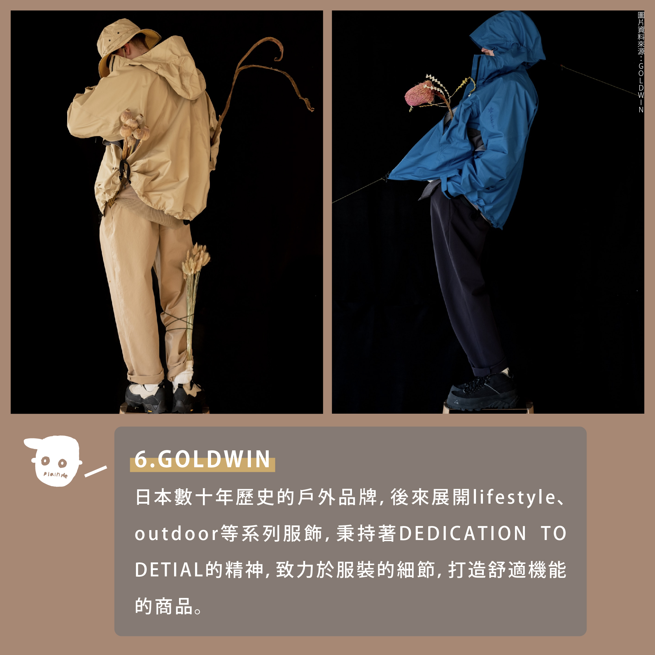 GOLDWIN